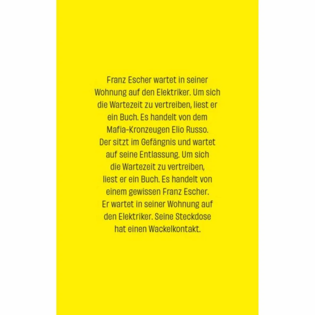 Romane*WACKELKONTAKT - Roman