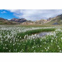 WANDERLUST SKANDINAVIEN - Bildband^ Bildbände