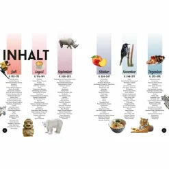 Bildbände*WANN AM BESTEN WOHIN 2 - Bildband