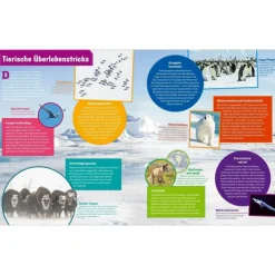 Kinder Naturratgeber Und Sachbücher|Kinderbücher Und Jugendbücher*WAS IST WAS POLARSTERN. FORSCHEN IM EIS - Kinderbuch