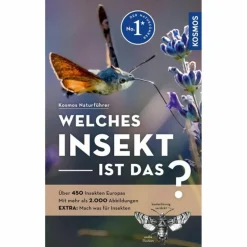 WELCHES INSEKT IST DAS? - Sachbuch^ Tiere, Pflanzen Und Garten