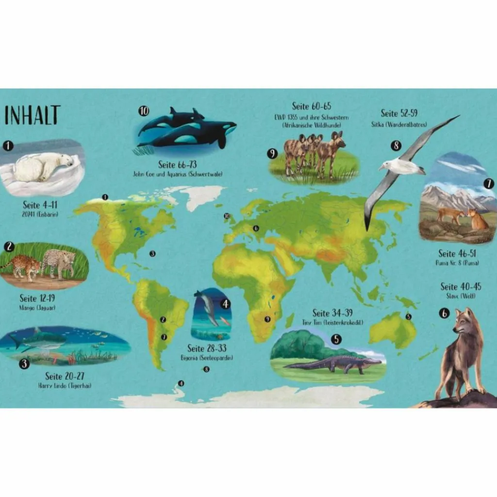 WILDEN TIEREN AUF DER SPUR - Kinderbuch^Kinder Naturratgeber Und Sachbücher|Kinderbücher Und Jugendbücher