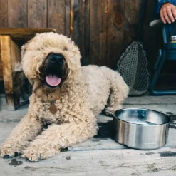 Yeti Coolers BOOMER DOG BOWL - Hundezubehör^ Hundezubehör