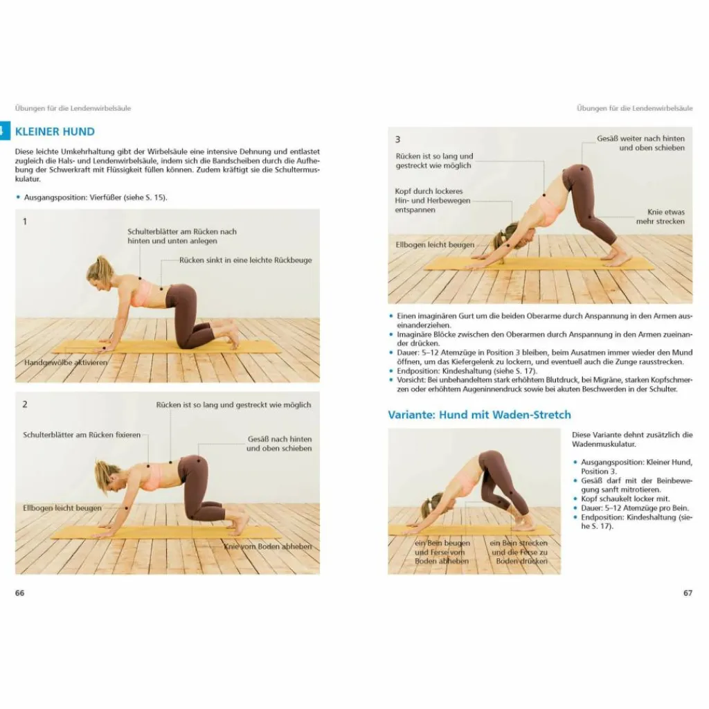 Sportklettern: Kletterführer, Training Und Techniken|Fitness, Gesundheit Und Yoga*YOGA FÜR KLETTERER UND BERGSPORTLER - Klettertraining