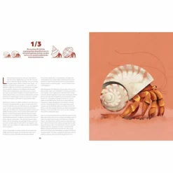 ZU HAUSE BEI DEN WILDEN TIEREN - Kinderbuch^Kinder Naturratgeber Und Sachbücher|Kinderbücher Und Jugendbücher